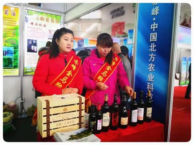 赤峰金马鞍葡萄酒业 全产业链布局，打造优质葡萄酒新标杆